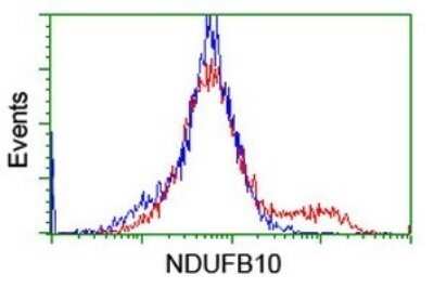 Flow Cytometry: NDUFB10 Antibody (OTI1H6) - Azide and BSA Free [NBP2-72915]