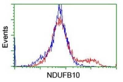 Flow Cytometry: NDUFB10 Antibody (OTI1H6) [NBP2-46118]