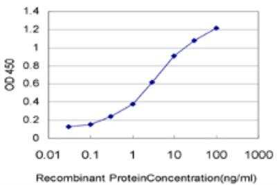 ELISA: NDUFB11 Antibody (1D6) [H00054539-M12]