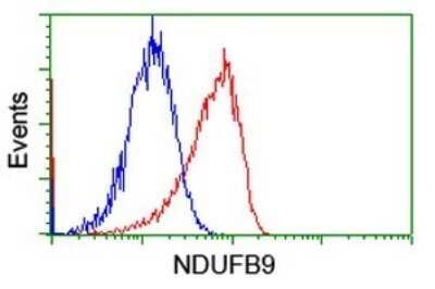 Flow Cytometry: NDUFB9 Antibody (OTI13H11) - Azide and BSA Free [NBP2-72919]