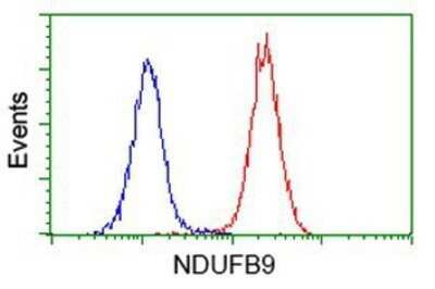 Flow Cytometry: NDUFB9 Antibody (OTI8B7) - Azide and BSA Free [NBP2-72918]