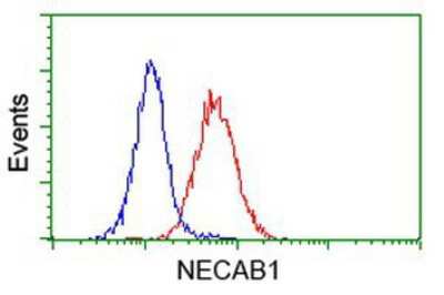 Flow Cytometry: NECAB1 Antibody (OTI4G8) [NBP2-00480]