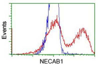 Flow Cytometry: NECAB1 Antibody (OTI4G8) [NBP2-00480]