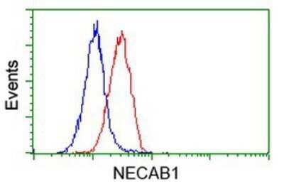 Flow Cytometry: NECAB1 Antibody (OTI4G8) - Azide and BSA Free [NBP2-72923]
