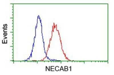 Flow Cytometry: NECAB1 Antibody (OTI4G8) - Azide and BSA Free [NBP2-72923]