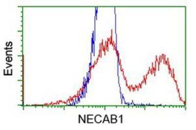 Flow Cytometry: NECAB1 Antibody (OTI4G8) - Azide and BSA Free [NBP2-72923]