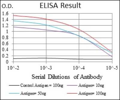 ELISA: NEDD8 Antibody (1A7) - BSA Free [NBP2-37524]