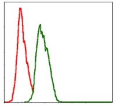 Flow Cytometry: NEDD8 Antibody (1A7) - BSA Free [NBP2-37524]