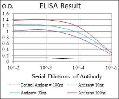 ELISA: NEDD8 Antibody (5B8) - BSA Free [NBP2-37523]