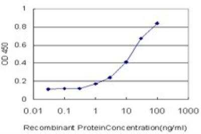 ELISA: NEIL2 Antibody (1B7) [H00252969-M01]