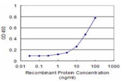 ELISA: NEK2 Antibody (3B7) [H00004751-M11]