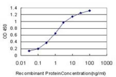 ELISA: NEK3 Antibody (2F8) [H00004752-M01]