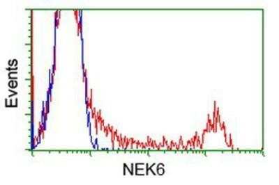 Flow Cytometry: NEK6 Antibody (OTI5D7) [NBP1-47865]