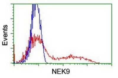 Flow Cytometry: NEK9 Antibody (OTI1H1) - Azide and BSA Free [NBP2-72939]