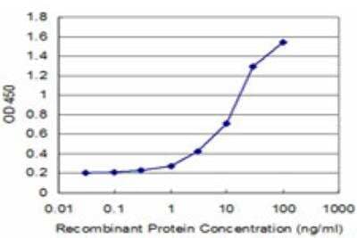 ELISA: NELL1 Antibody (3F1) [H00004745-M03]