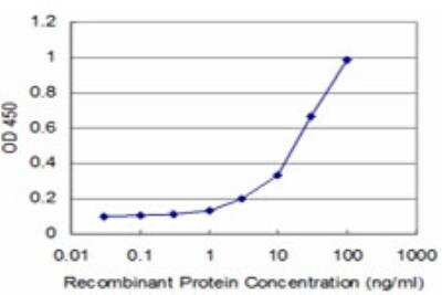 ELISA: NEU2 Antibody (2E5) [H00004759-M04]