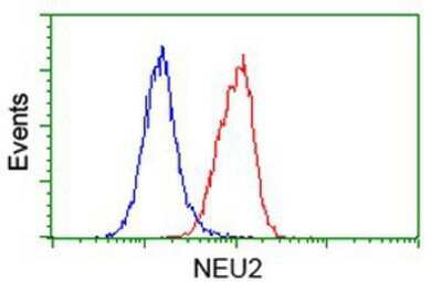 Flow Cytometry: NEU2 Antibody (OTI4F4) [NBP2-00783]