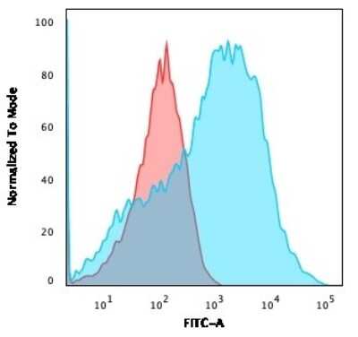 Flow Cytometry: NF-H Antibody (NE14) [NBP2-44728]
