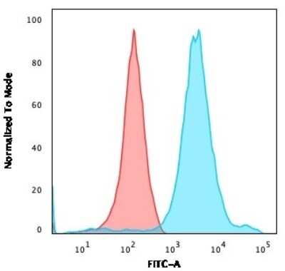 Flow Cytometry: NF-H Antibody (NF421) [NBP2-29629]
