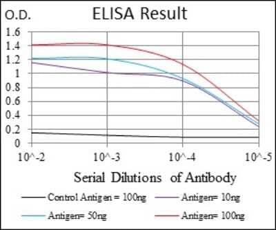 ELISA: NF-L Antibody (1H3) - BSA Free [NBP2-37528]