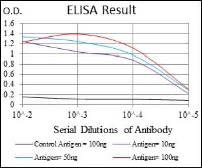 ELISA: NF-L Antibody (2G10) - BSA Free [NBP2-37525]