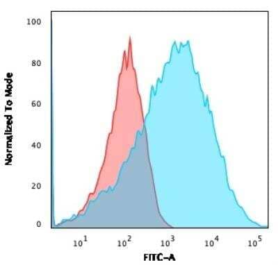 Flow Cytometry: NF-L Antibody (NFL/736) - Azide and BSA Free [NBP2-47970]