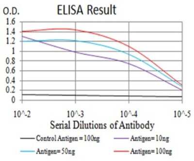 ELISA: NF-M Antibody (1B6B12) - BSA Free [NBP2-61659]