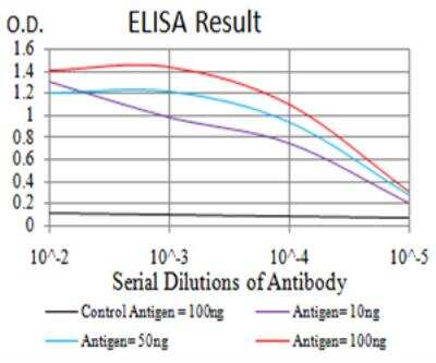 ELISA: NF-M Antibody (1B6B12) - BSA Free [NBP2-61659]