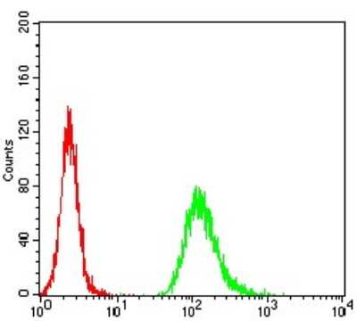 Flow Cytometry: NF-M Antibody (1B6B12) - BSA Free [NBP2-61659]