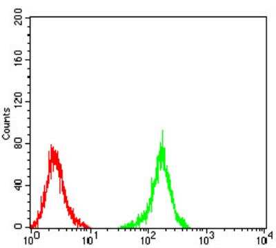 Flow Cytometry: NF-M Antibody (1B6B12) - BSA Free [NBP2-61659]
