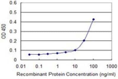 ELISA: NFATC3/NFAT4 Antibody (3A12) [H00004775-M02]