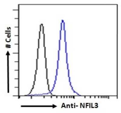 Flow Cytometry: NFIL3 Antibody [NB100-842]