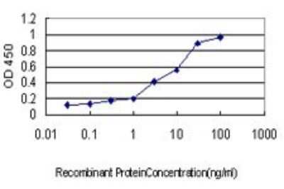 ELISA: NFX1 Antibody (1D12) [H00004799-M01]