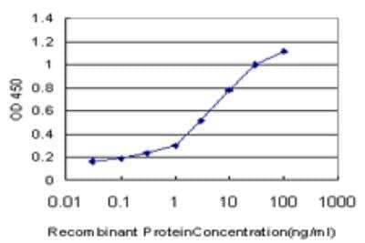 ELISA: NFYB Antibody (1G10) [H00004801-M06]