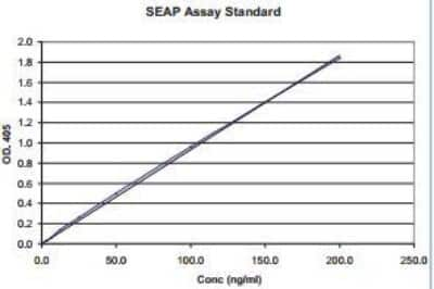 Enzyme Activity: NFkB Secreted Alkaline Phosphatase Reporter Assay Kit (Colorimetric) [NBP2-25286]