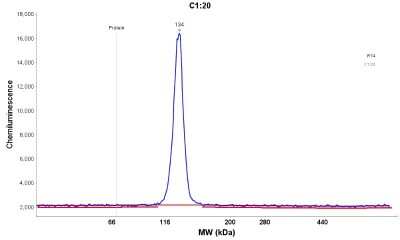 Simple Western: NFkB2/NFkB p100 Antibody [NBP1-87760]