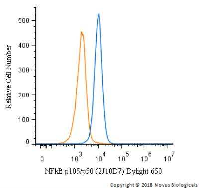 Flow Cytometry: NFkB p105/p50 Antibody (2J10D7) - BSA Free [NB100-56583]