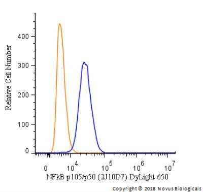 Flow Cytometry: NFkB p105/p50 Antibody (2J10D7) - BSA Free [NB100-56583]