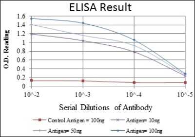 ELISA: NFkB p105/p50 Antibody (5D10D11) - BSA Free [NBP2-22178]