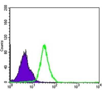 Flow Cytometry: NFkB p105/p50 Antibody (5D10D11) - BSA Free [NBP2-22178]