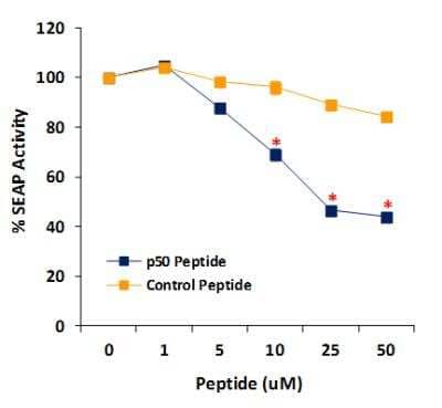 Functional (Inhibition): NFkB p50 (NLS) Inhibitor Peptide Set [NBP2-29323]