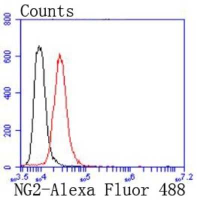 Flow Cytometry: NG2/MCSP Antibody (JM10-13) [NBP2-66979]