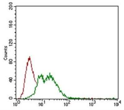 Flow Cytometry: NG2/MCSP Antibody (LHM 2) - Azide and BSA Free [NBP2-80873]