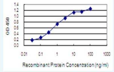 ELISA: NGEF Antibody (6E7) [H00025791-M01-100ug]
