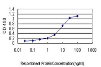 ELISA: NHE1/SLC9A1 Antibody (2F5) [H00006548-M01]