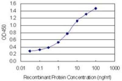 ELISA: NHS Antibody (6D9) [H00004810-M05]