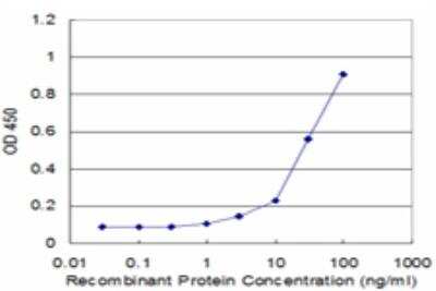 ELISA: NIPP1 Antibody (4B5) [H00005511-M05]