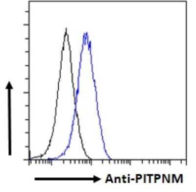 Flow Cytometry: NIR2 Antibody [NB100-1417]