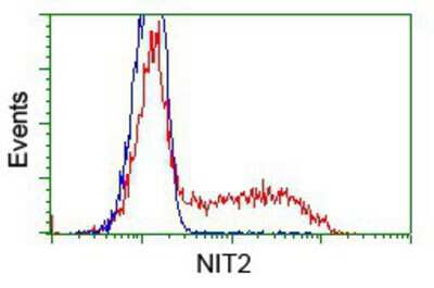 Flow Cytometry: NIT2 Antibody (OTI2B9) [NBP2-02486]