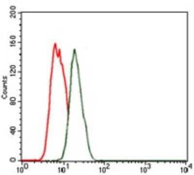 Flow Cytometry: NKX2.2 Antibody (3E4) - BSA Free [NBP2-37486]